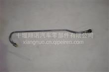 十堰康諾圖片